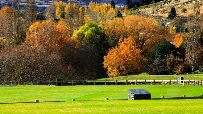 注冊新西蘭公司需要注意哪些事項?