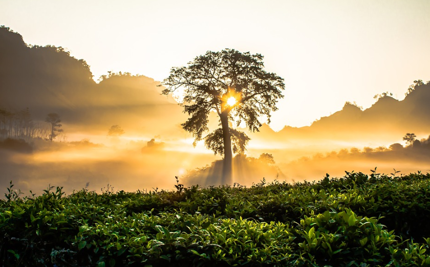 企業在越南注冊公司,在報稅方面需要注意什么?
